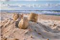 Veranstaltungsbild Tag am Meer